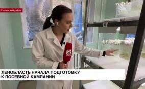 Ленинградская область начала подготовку к посевной кампании