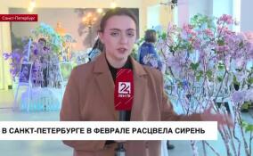 В Санкт-Петербурге в феврале расцвела сирень