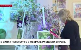 Зимой в Петербурге расцвела сирень