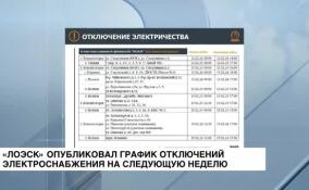 ЛОЭСК опубликовала график плановых отключений электроэнергии на следующую неделю