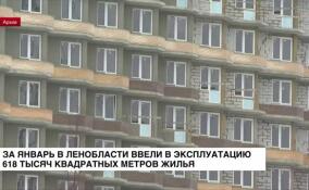 За январь в Ленобласти ввели в эксплуатацию 618 тысяч квадратных метров жилья