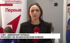 Во Всеволожском районе проходит слет «Движения Первых»