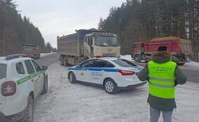 Экомилиция проверила перевозчиков отходов в Мяглово и Порзолово