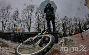 Ледяные дожди ожидаются в Ленобласти накануне выходных