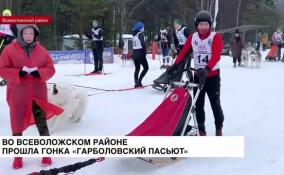 Во Всеволожском районе прошла гонка «Гарболовский пасьют»