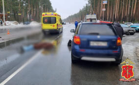 Уголовное дело завели после ДТП с погибшей девочкой в поселке Приветинское