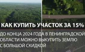 Как в 2024 году купить участок в Ленобласти за 15% от стоимости