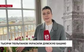 Тысячи тюльпанов украсили Думскую башню