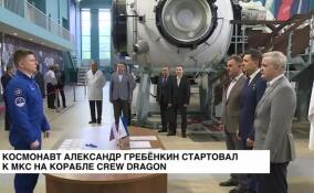 Космонавт Александр Гребенкин в составе экипажа пилотируемого корабля Crew Dragon стартовал к МКС