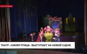 Театр «Синяя птица» выступает на новой сцене