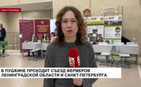 В Пушкине проходит съезд фермеров Ленинградской области и Санкт-Петербурга