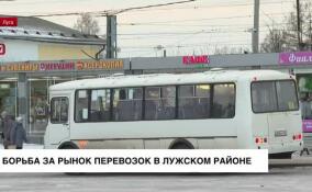 Борьба за рынок перевозок в Лужском районе: в редакцию ЛенТВ24 обратился директор транспортной компании