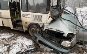 Водитель иномарки погиб при столкновении с автобусом в Кингисеппском районе