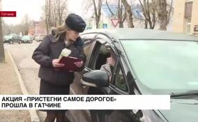 Акция «Пристегни самое дорогое» прошла в Гатчине