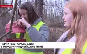 Пернатых порадовали в Международный день птиц