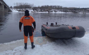 За неделю спасатели в Ленобласти 24 раза пришли на помощь к пострадавшим