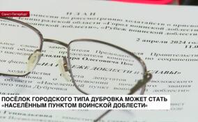 Поселок городского типа Дубровка может стать «Населенным пунктом воинской доблести»