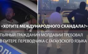 В Петербурге пьяный гражданин Молдавии требовал от ДПС переводчика и грозил международным скандалом