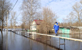 Уровень воды в Тихвинке упал на 6 сантиметров