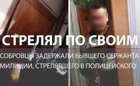 Бывший сотрудник ОВО встретил полицию выстрелами. Квартиру в Коммунаре штурмовал СОБР