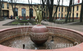 В Педиатрическом университете запустили фонтан и повесили скворечники