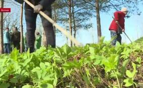 В Волхове прошел большой субботник