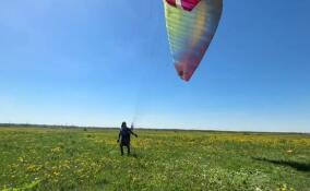 Чемпионат Северо-Запада по полетам на парапланах проходит в Ленинградской области