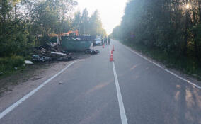 Подросток на мопеде врезался в мусорный бак во Всеволожском районе и погиб