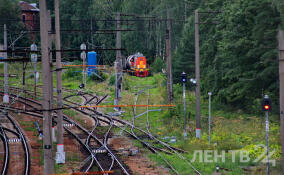 В вагоне грузового поезда в Ленобласти произошел пожар