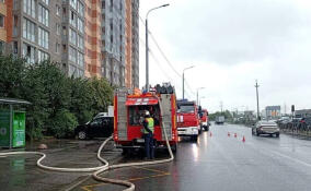 Пламя охватило магазин стройматериалов в Кудрово