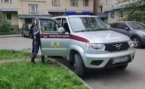 Росгвардия с начала года проверила более 3,5 тысяч адресов владельцев оружия в Петербурге и Ленобласти