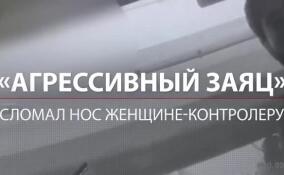 Агрессивный «заяц» сломал нос женщине-контролеру в автобусе