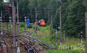 Более 10 ДТП произошло с начала года на железнодорожных переездах Октябрьской магистрали