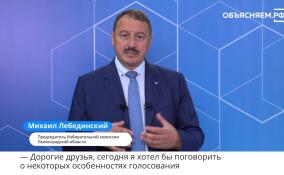 Михаил Лебединский рассказал, как проголосовать из дома на сентябрьских выборах