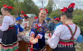 В деревне Пашозеро прошел праздник «Сказы Вепсского леса»