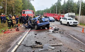 Водитель и пассажир иномарки погибли в ДТП в Ломоносовском районе