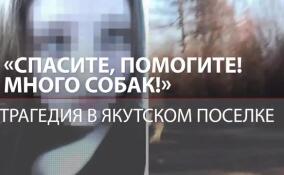 В якутском поселке стая собак загрызла 12-летнюю девочку