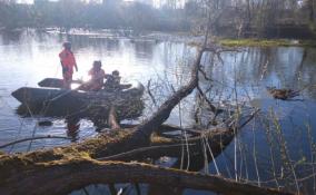 В Ижоре у Коммунар обнаружили труп неизвестного