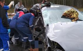 В результате лобового столкновения в Ушаках погиб человек