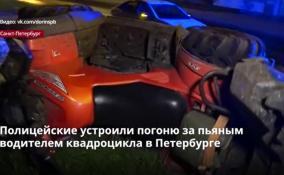 Полицейские устроили погоню за пьяным водителем
квадроцикла в Петербурге