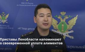 Приставы Ленобласти напоминают
о своевременной уплате алиментов