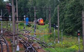 Пригородных электричек в Ленобласти этим летом станет больше