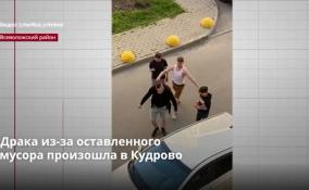 Драка из-за оставленного
мусора произошла в Кудрово