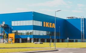 У завода IKEA в Тихвине уже есть потенциальные покупатели