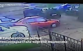 В Кингисеппском районе пенсионерка стала жертвой мошенника