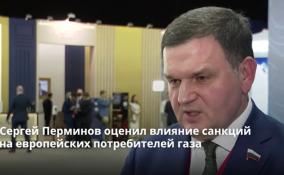 Сергей Перминов оценил влияние санкций на европейских
потребителей газа