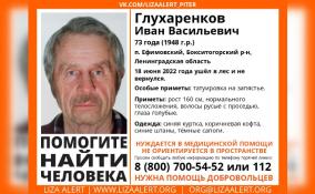 В Бокситогорском районе разыскивают заплутавшего в лесу 73-летнего мужчину