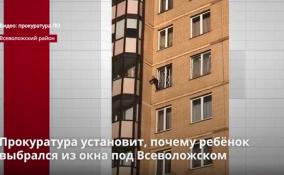 Прокуратура установит, почему ребёнок выбрался из окна под
Всеволожском