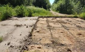 С пожарной площадки в Сосновом Бору злоумышленники украли 20 бетонных плит