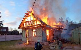 В полыхающем доме в садоводстве Лесколово погиб мужчина